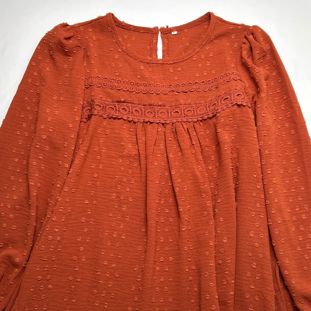 Rust Swiss Dot Lace Yoke Long-Sleeve Blouse size small - Picture 4 of 9